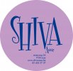 shiva-asse-catalogus