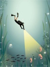 The diver (30x40 cm)