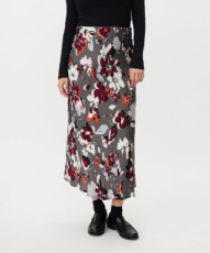 rok solviera